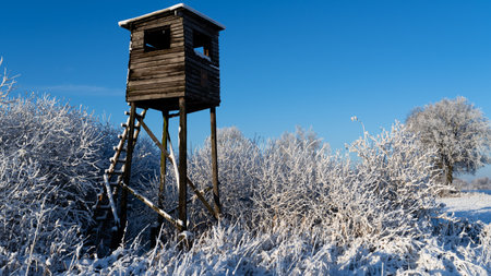 Wooden hunting tower in winter forest with hoar-frostの写真素材