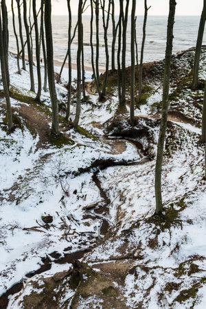 beautiful winter landscape with frozen sea and snow covered tree trunksの写真素材
