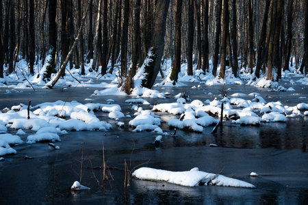 Frozen river in winter forest. Beautiful winter landscape with ice and snowの写真素材