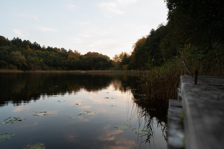 Beautiful autumn landscape with a lake and trees in the evening.の写真素材