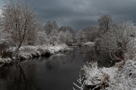 Winter landscape with snowy trees on the bank of river in cloudy dayの写真素材
