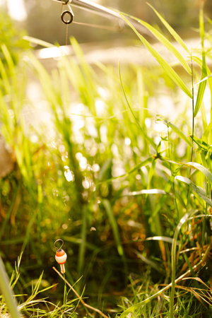 Fishing float on the background of green grass. Shallow depth of field.の写真素材