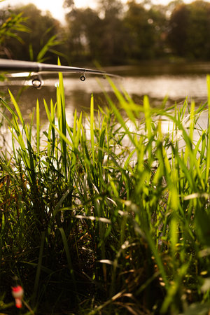 Fishing rod on the shore of the lake in the evening.