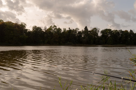 Landscape with a lake and trees in the background at sunset.の写真素材