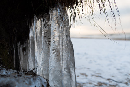 Icicles on the shore in winterの写真素材