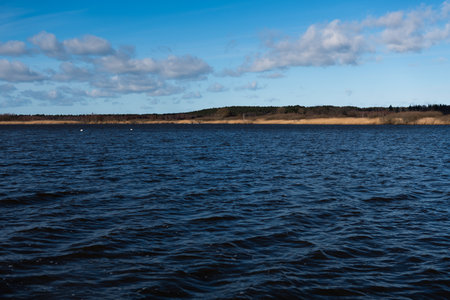 Landscape of the lake with clouds and trees in the background.の写真素材
