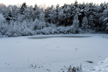 Winter landscape with frozen lake and forest in the background at sunset.の写真素材