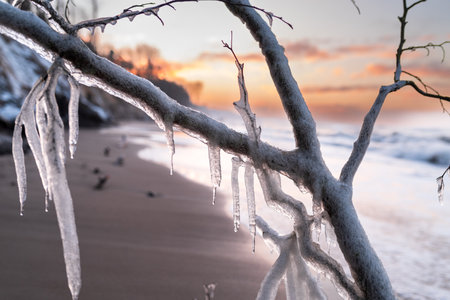 Frozen tree branches on the beach at sunset. Beautiful winter landscape.の写真素材