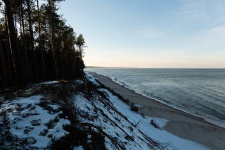 Landscape of Baltic sea shore in winter with pine trees and sand dunesの写真素材