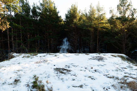 road through the forest from the roof in winterの写真素材