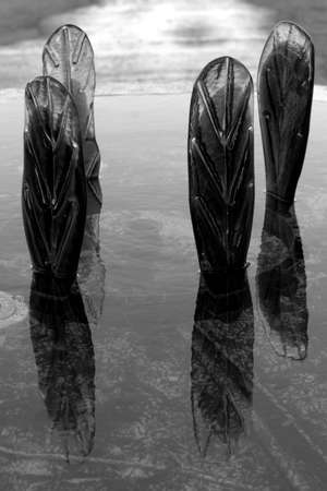 Four Towersの写真素材