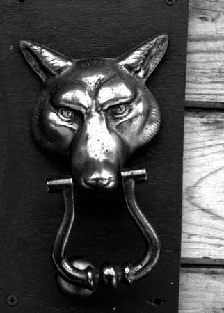 Dog Knockerの写真素材