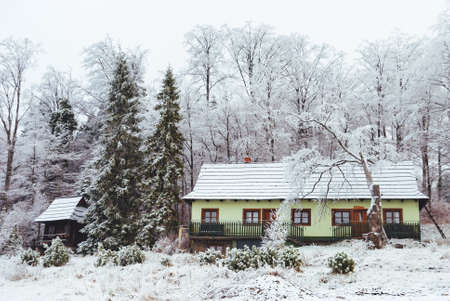 Green house on the background of the winter forest, Beskids, Polandのeditorial素材