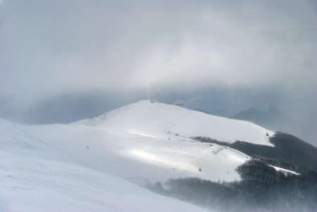 Blizzard on a mountain ridge on a cloudy day, Bieszczady Mountains, Polandの写真素材
