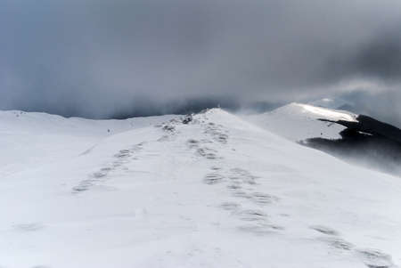 Blizzard on a mountain ridge on a cloudy day, Bieszczady Mountains, Polandの写真素材