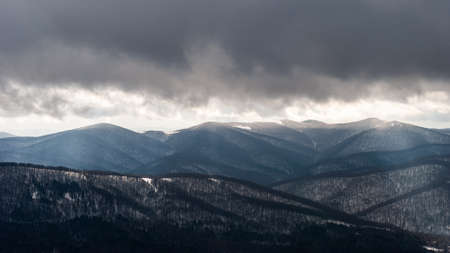 Snow-covered forest in the mountains on a cloudy day, Bieszczady Mountains, Polandの写真素材