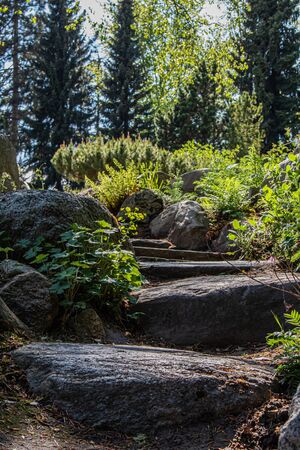Stone path. Stone steps. A beautiful landscape.の写真素材