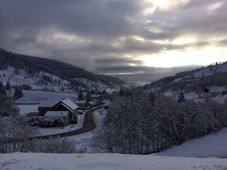 Vosges skiの素材