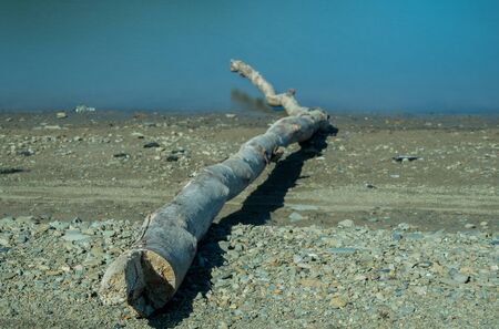 Wooden branch going in the lake Edersee at autumn