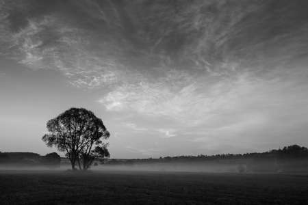 Black and white landscape near the german village called Hallenbergの写真素材