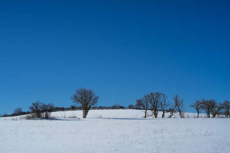 Winter landscape near the german village called Bromskirchen