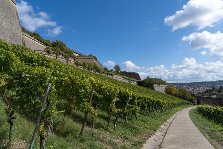 View to the fortress called Marienberg at the german city Wuerzburgの写真素材