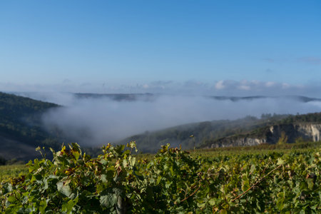 Inversion weather condition over the valley of river Main near the German village called Thuengersheimの写真素材