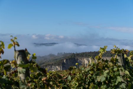 Inversion weather condition over the valley of river Main near the village called Thuengersheimの写真素材