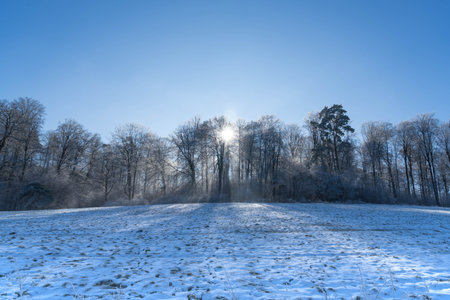 Winter view near the german village called Rauschenbergの写真素材