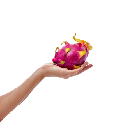 Female hand holds ripe dragon fruit on white backgroundの写真素材