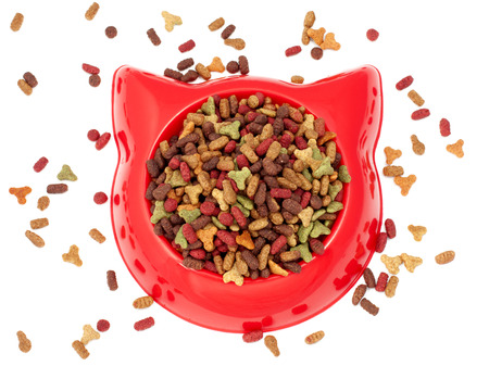 Cat or dog food in red bowl isolatedの写真素材