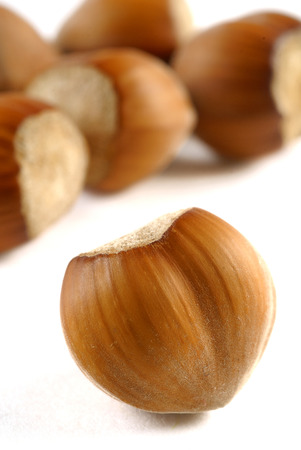 Hazelnuts on white background close upの写真素材