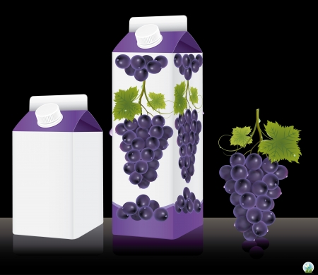 Blank milk or juice pack illustrationのイラスト素材