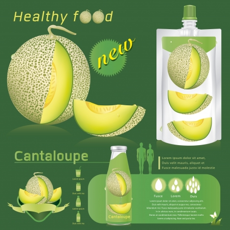 cantaloupe melon infographics  vector illustrationのイラスト素材