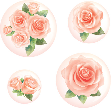 Orange Rose in bubbles. illustration vectorのイラスト素材