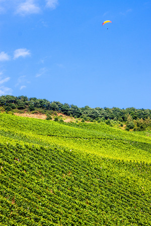Paraglides over Moselle valley, Germanyの写真素材