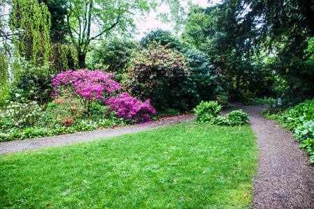 Alter Botanischer Garten (old botanical garden) park in Zurich, Switzerlandの写真素材