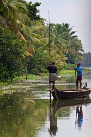 BACKWATERS, INDIA - AUGUST 24: People in a canoe on August 24, 2011 in Backwaters, India. The Kerala Backwaters are a network of interconnected canals, rivers, lakes and inlets.のeditorial素材