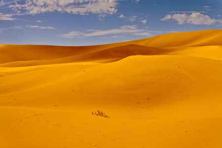 Sand dunes in Erg Chebbi, Moroccoの写真素材