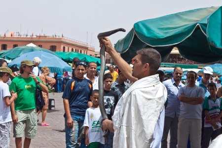 MARRAKESH, MOROCCO - AUGUST 8: Man with a snake at the Jema el Fna Square in Marrakesh on August 8, 2010 in Marrakesh, Morocco. The square is part of the UNESCO World Heritage.のeditorial素材