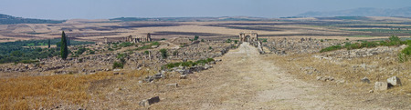 Roman ruins in Volubilis, Moroccoの写真素材