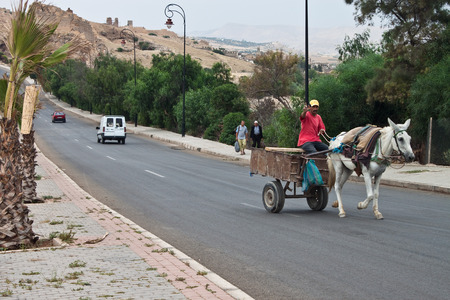 FES, MOROCCO - JULY 27: Man on horse cart on July 27, 2010 in Fes, Morocco. Fes center is listed in UNESCO and it is the largest preserved medieval city in the world. Also it's one big market.のeditorial素材