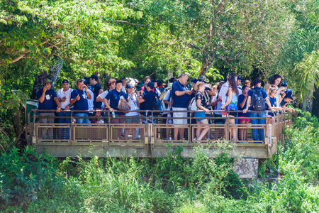 IGUAZU, ARGENTINA - FEB 6, 2015: Tourists admire Iguacu (Iguazu) falls on a border of Brazil and Argentinaのeditorial素材