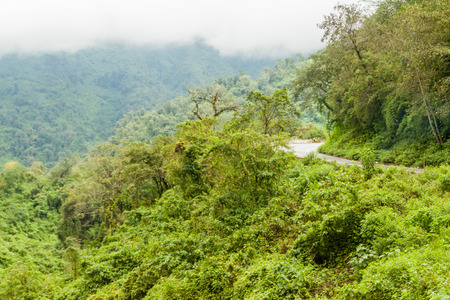 Mountains covered with a lush forest along a road from San Miguel de Tucuman to Tafi del Valle, Argentinaの写真素材