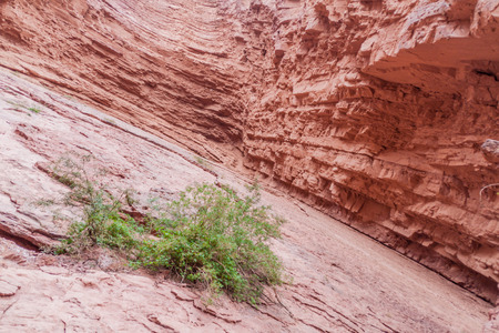 Detail of a rock formation called Garganta del Diablo (Devil's Throat) in Quebrada de Cafayate valley, Argentinaの写真素材