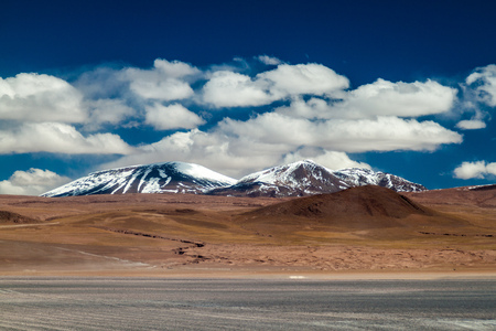 Landscape of bolivian Altiplanoの写真素材