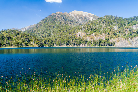 Laguna Toro lake in National Park Huerquehue, Chileの写真素材