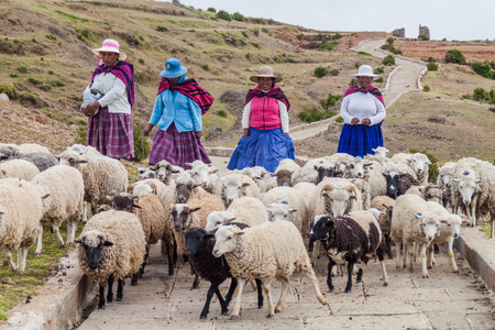 AMANTANI, PERU - MAY 15, 2015: Native women with their sheep on Amantani island in Titicaca lake, Peruのeditorial素材