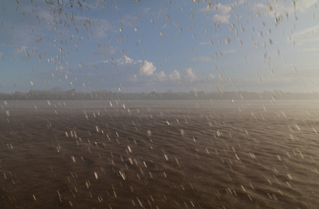 Rainy day at a river Amazon in Brazil
