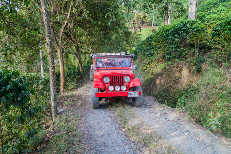 MANIZALES, COLOMBIA - SEPTEMBER 5, 2105: Workers ride a jeep at Hacinda Venecia coffee farm grounds.のeditorial素材
